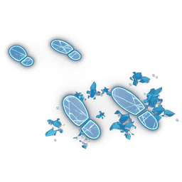 Cold Footstep Decal