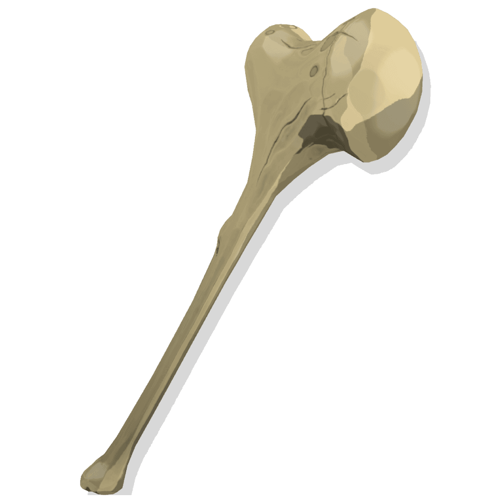 Hatchling Hammer I