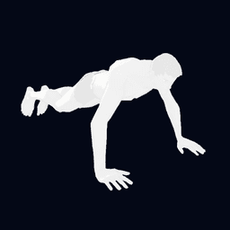 Push Ups (Emote)
