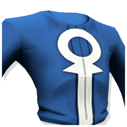 Vestments of Cosmic Dominion Chest IV