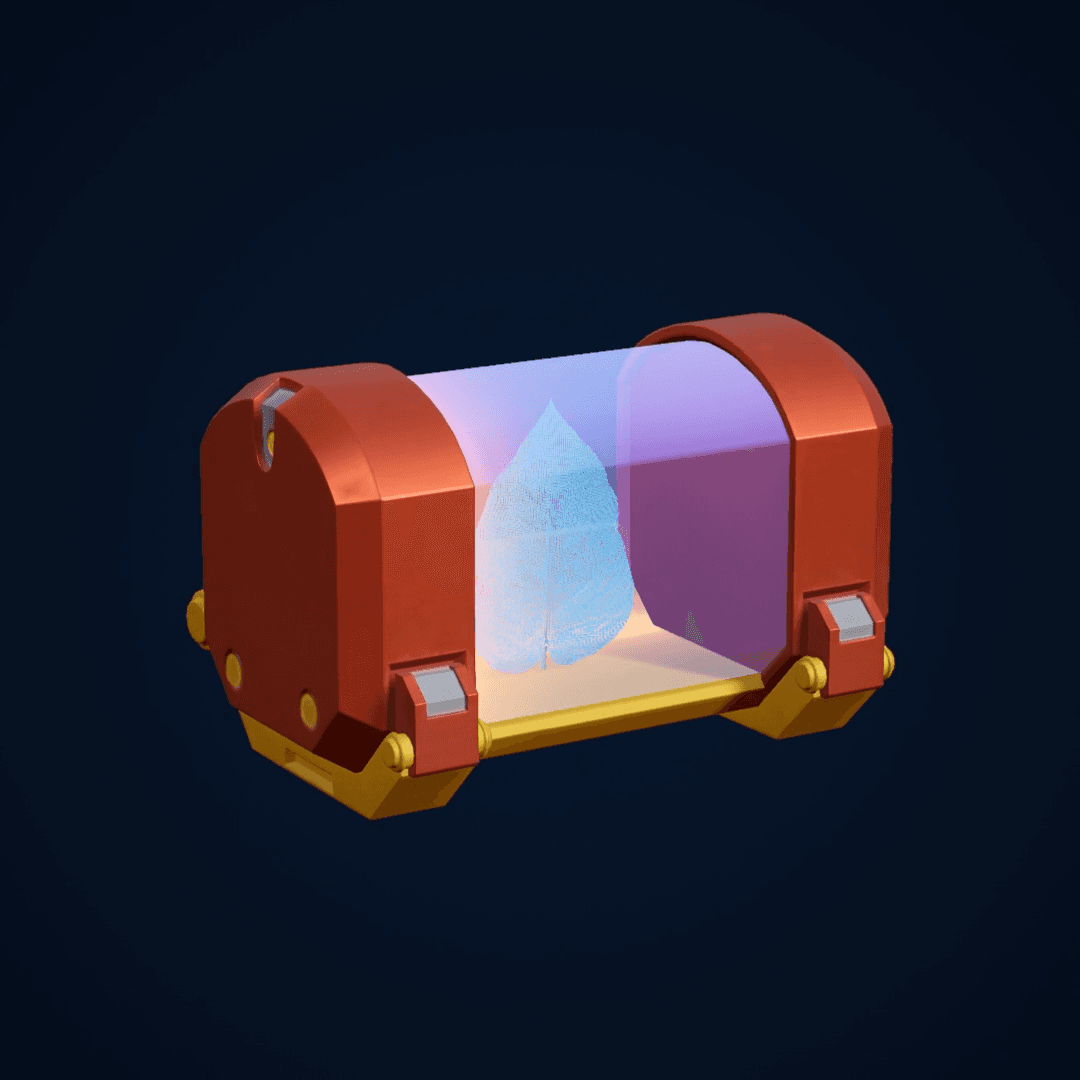 Spring Festival Mystery Box
