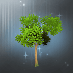 Small Pear Tree