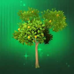 Medium Pear Tree
