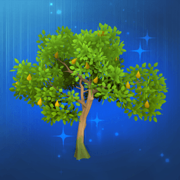 Big Pear Tree